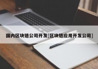 国内区块链公司开发[区块链应用开发公司]